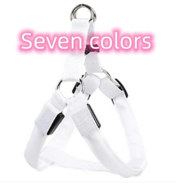 LED Leuchtender Hundegeschirrriemen
