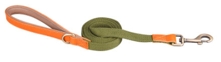 Hunde-Halsband aus erstklassigem Rindsleder