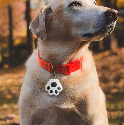 PawGuard Tracker