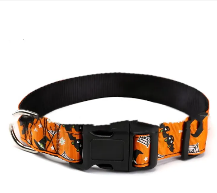 Halloween Haustierhalsband