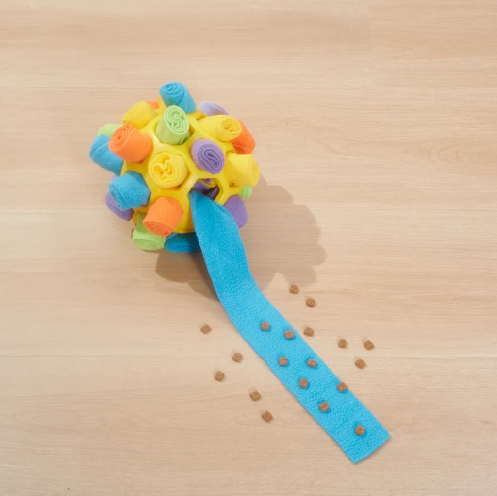Schnüffel-Puzzleball für Hunde