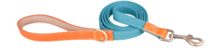 Hunde-Halsband aus erstklassigem Rindsleder