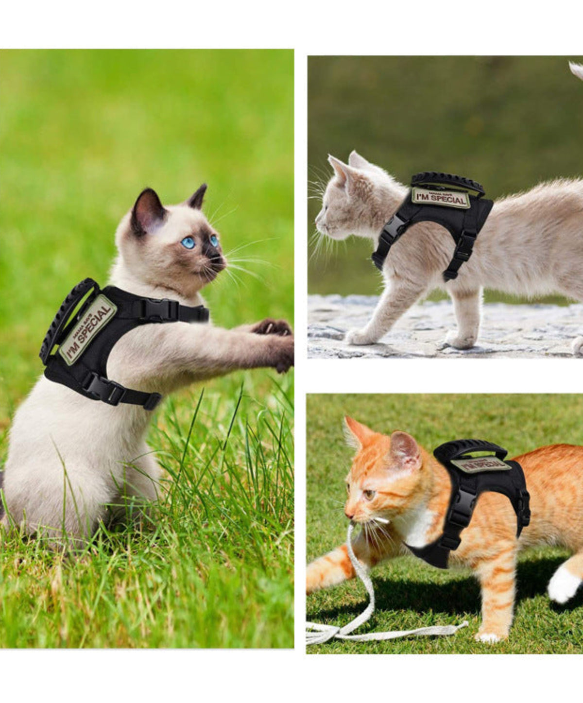 Verstellbares taktisches Katzen-Geschirr mit Leine