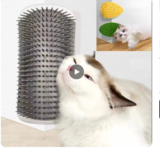 Eck-Kratzbrett Massagebürste Katze