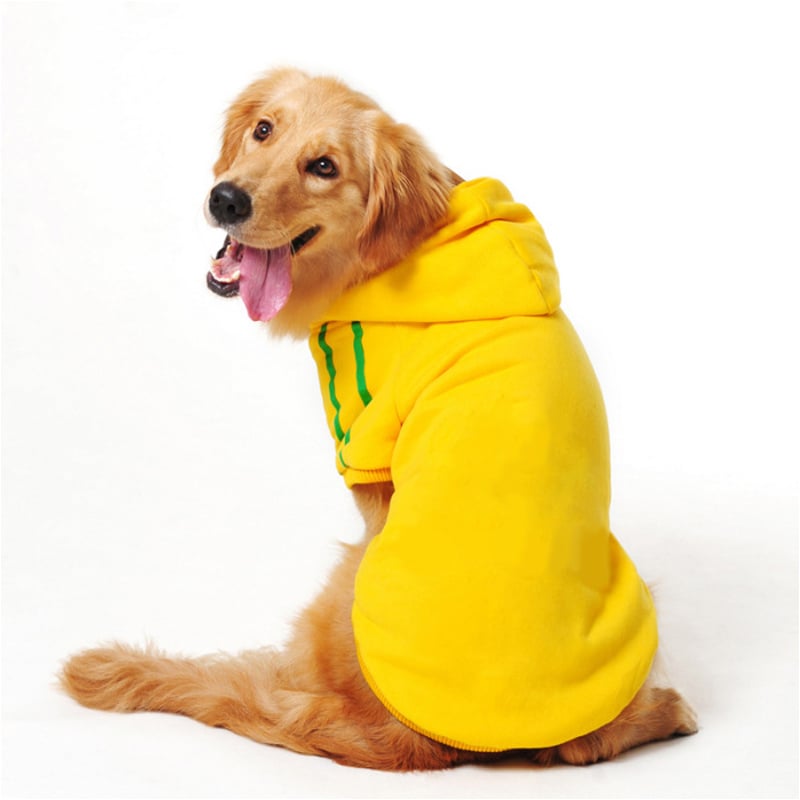 Hundepullover