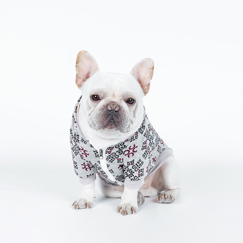 Teddy Hund Muster Druck