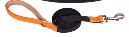 Hunde-Halsband aus erstklassigem Rindsleder