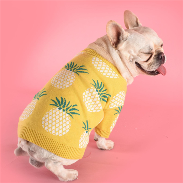 Süßer warmer Hundepullover