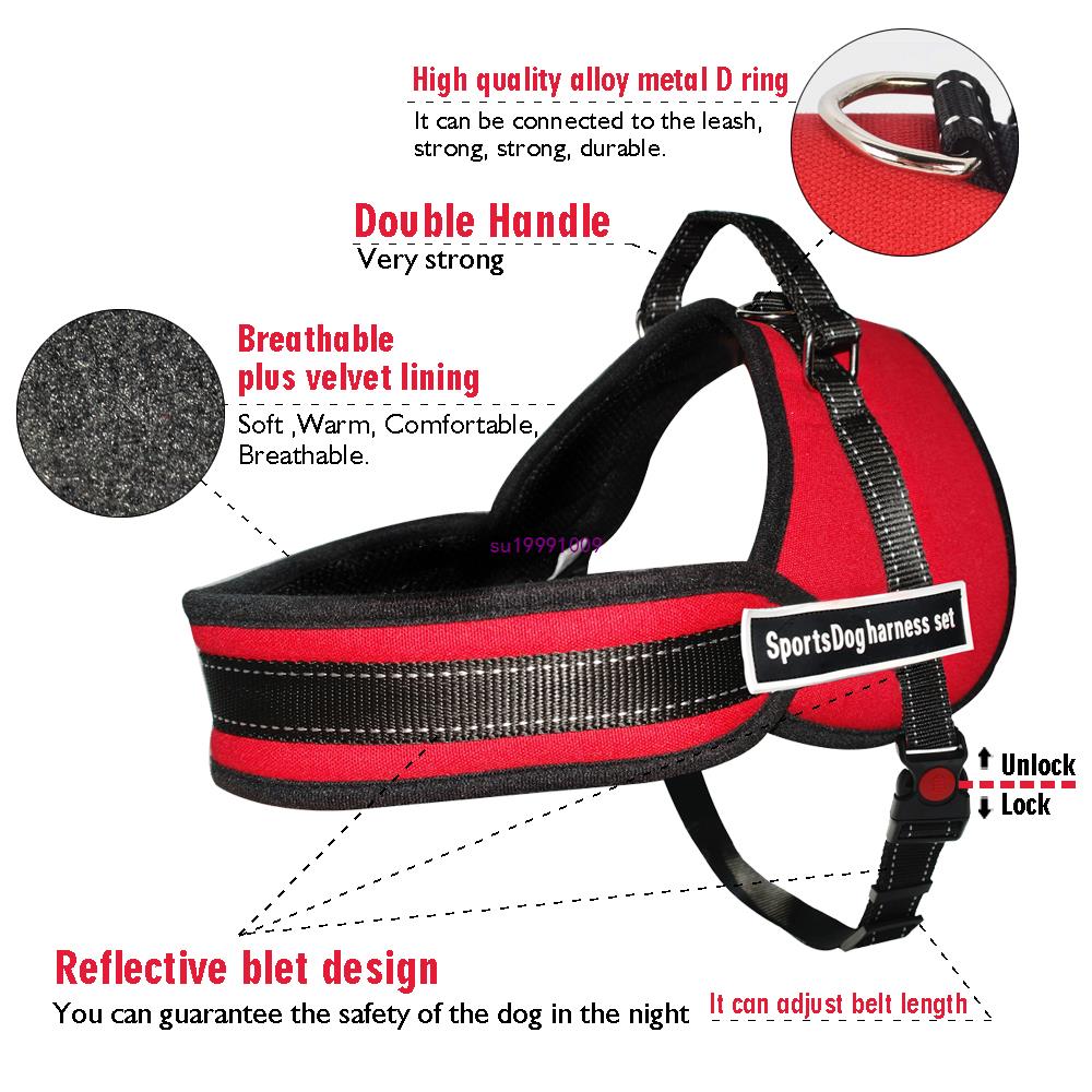 Sport-Hundegeschirr mit Brustgurt und Leine
