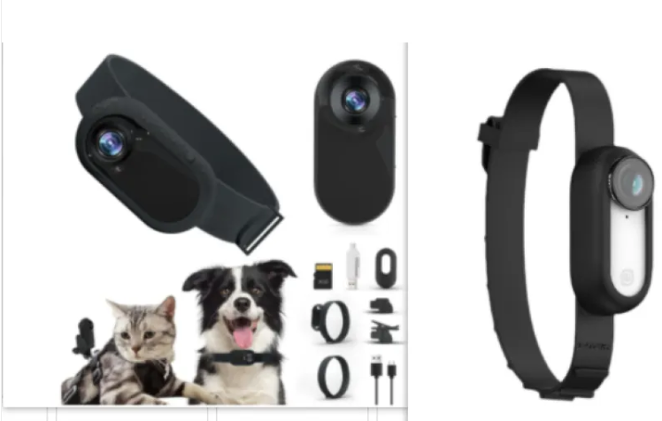 Paw Cam Kabelloses Haustierhalsband