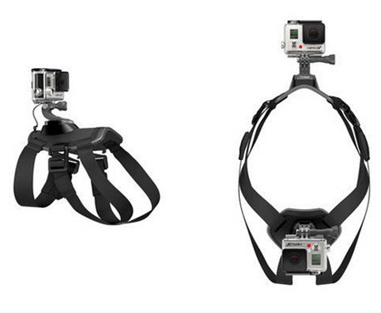 Hundegeschirr mit GoPro-Halterung