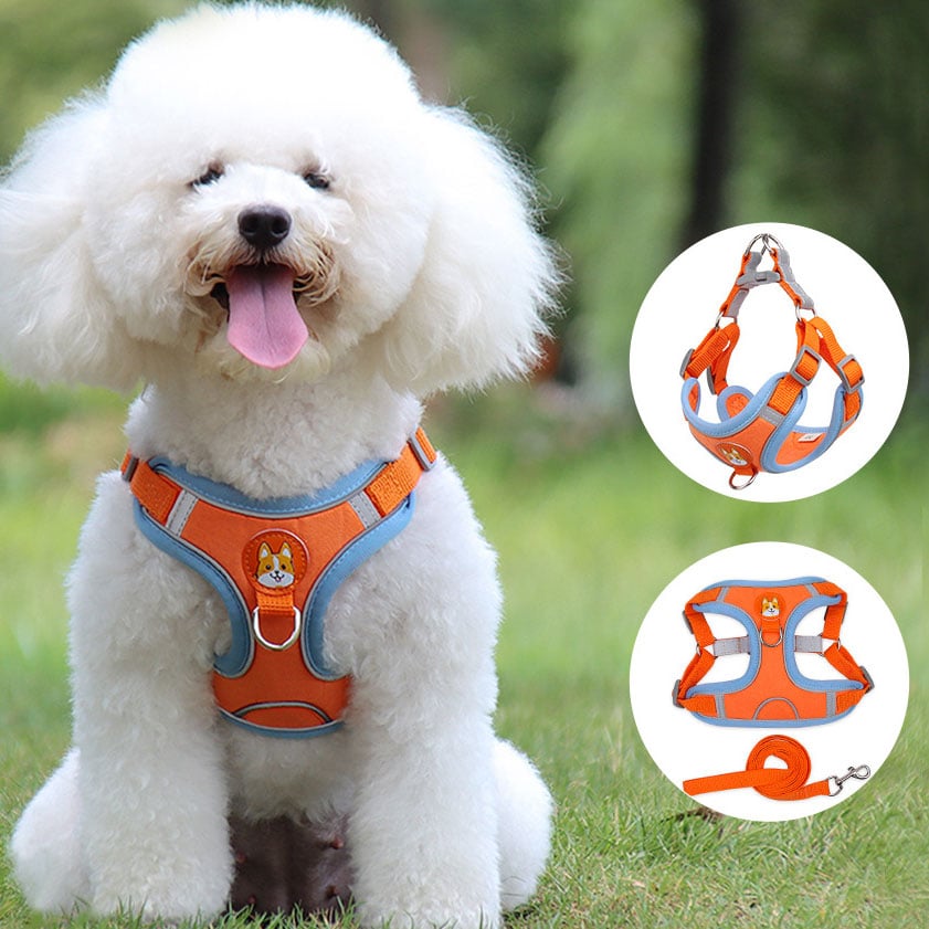 Reflektierendes Hundegeschirr und Katzengeschirr mit weichem Mesh-Gurt