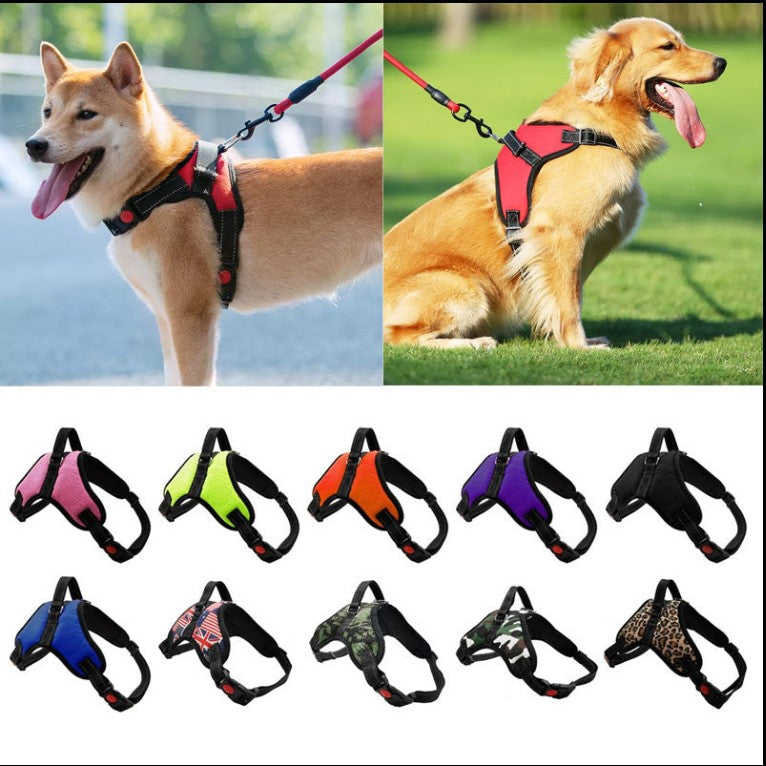 Einstellbares Hundegeschirr und reflektierendes Leinenset