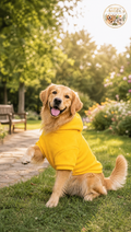 Herbst-Winter Pullover für Hunde