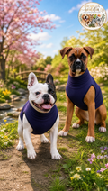 Beruhigungsjacke für Hunde