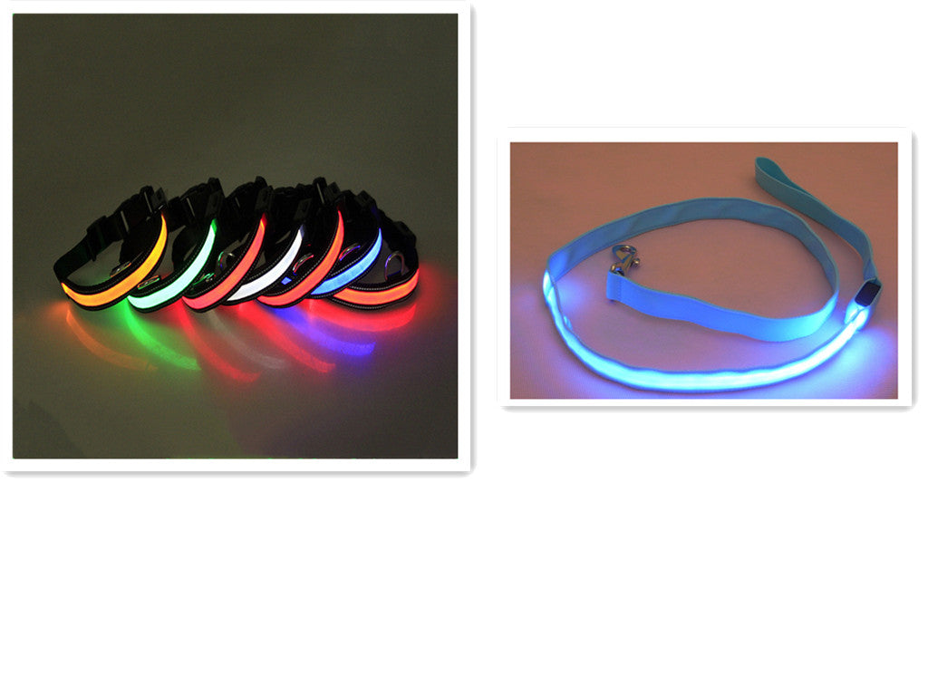 LED Hundeleine mit fluoreszierendem Hundehalsband