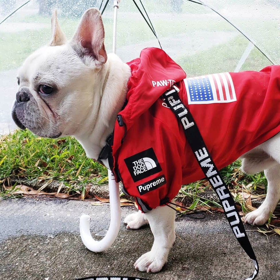 Wasserdichte Hundejacke