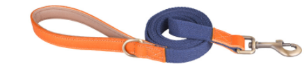 Hunde-Halsband aus erstklassigem Rindsleder