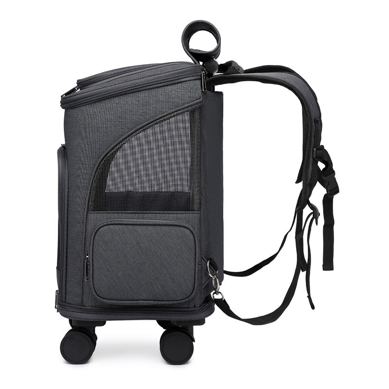 Tragbarer, faltbarer Katzenrucksack für Haustiere