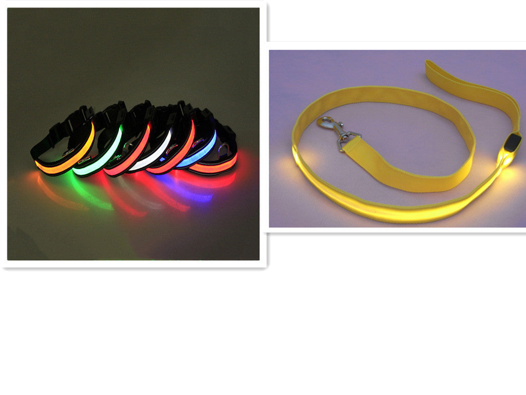 LED Hundeleine mit fluoreszierendem Hundehalsband