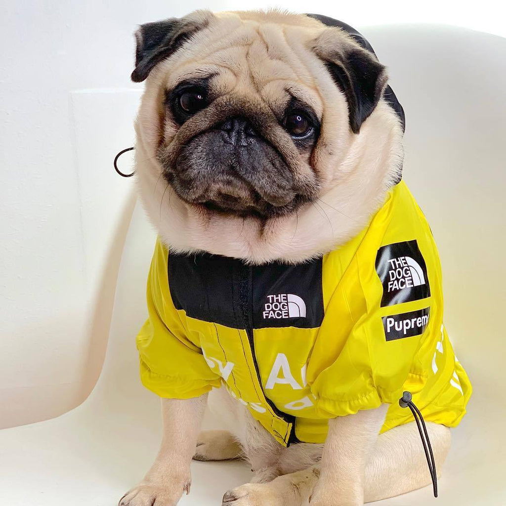 Regenjacke für Hunde