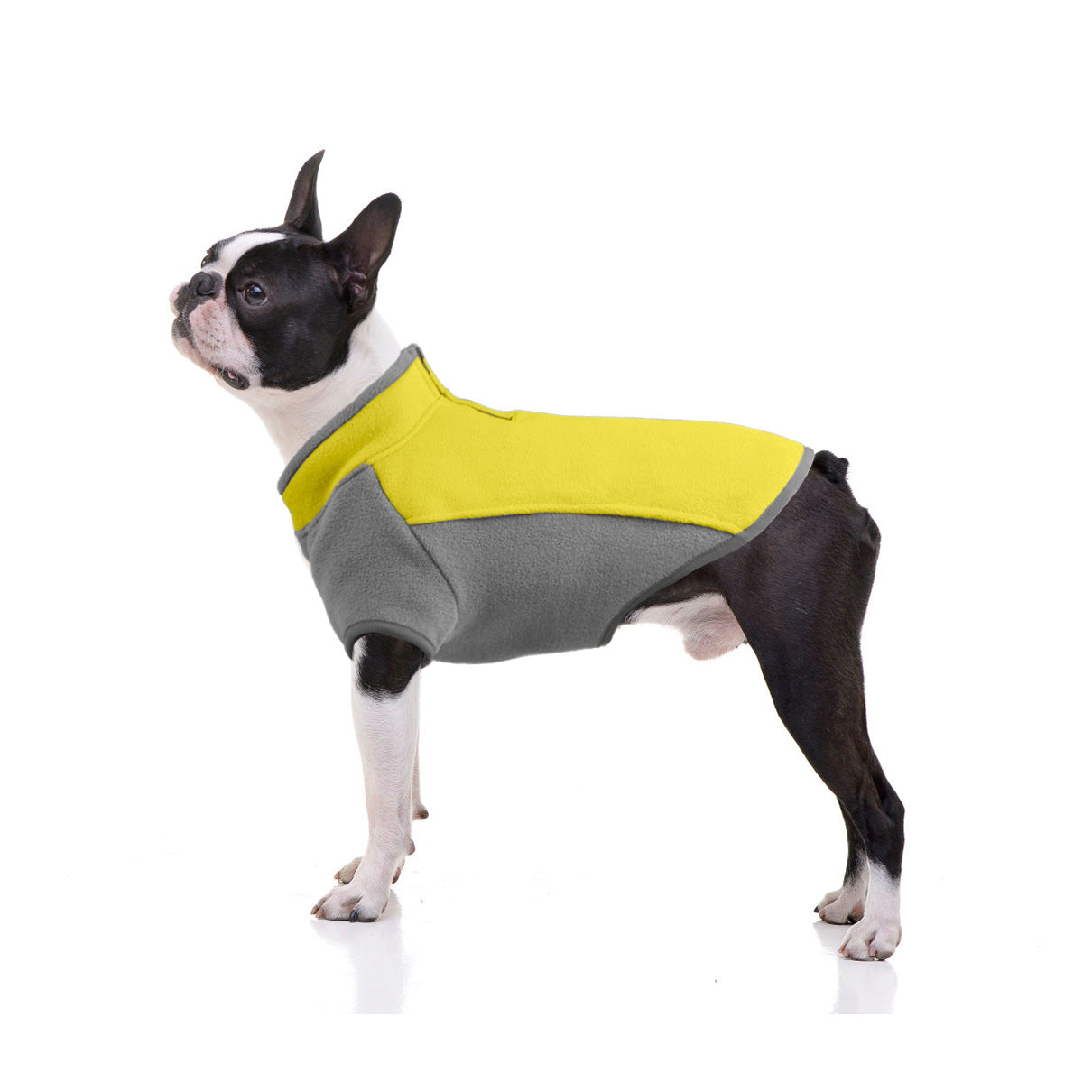 Big Dog Dicke Baumwollgefütterte Jacke