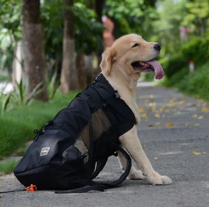 Hiking Tragetasche für Hunde