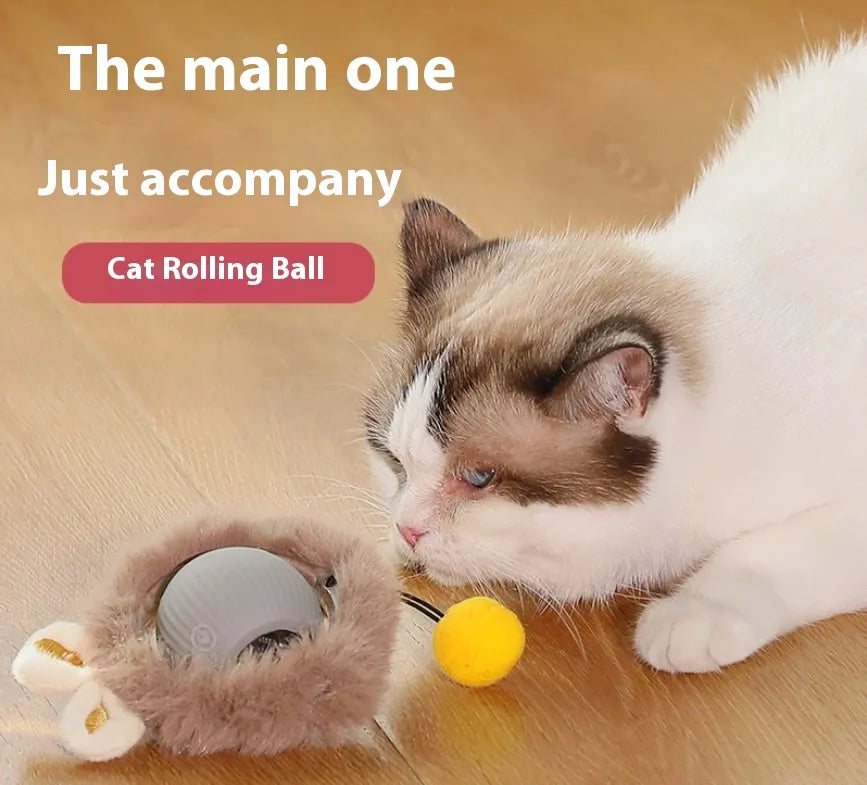 Interaktiver Plüsch-Katzen-Rollball