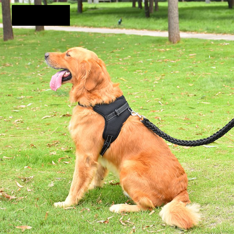 Einstellbares Hundegeschirr und reflektierendes Leinenset