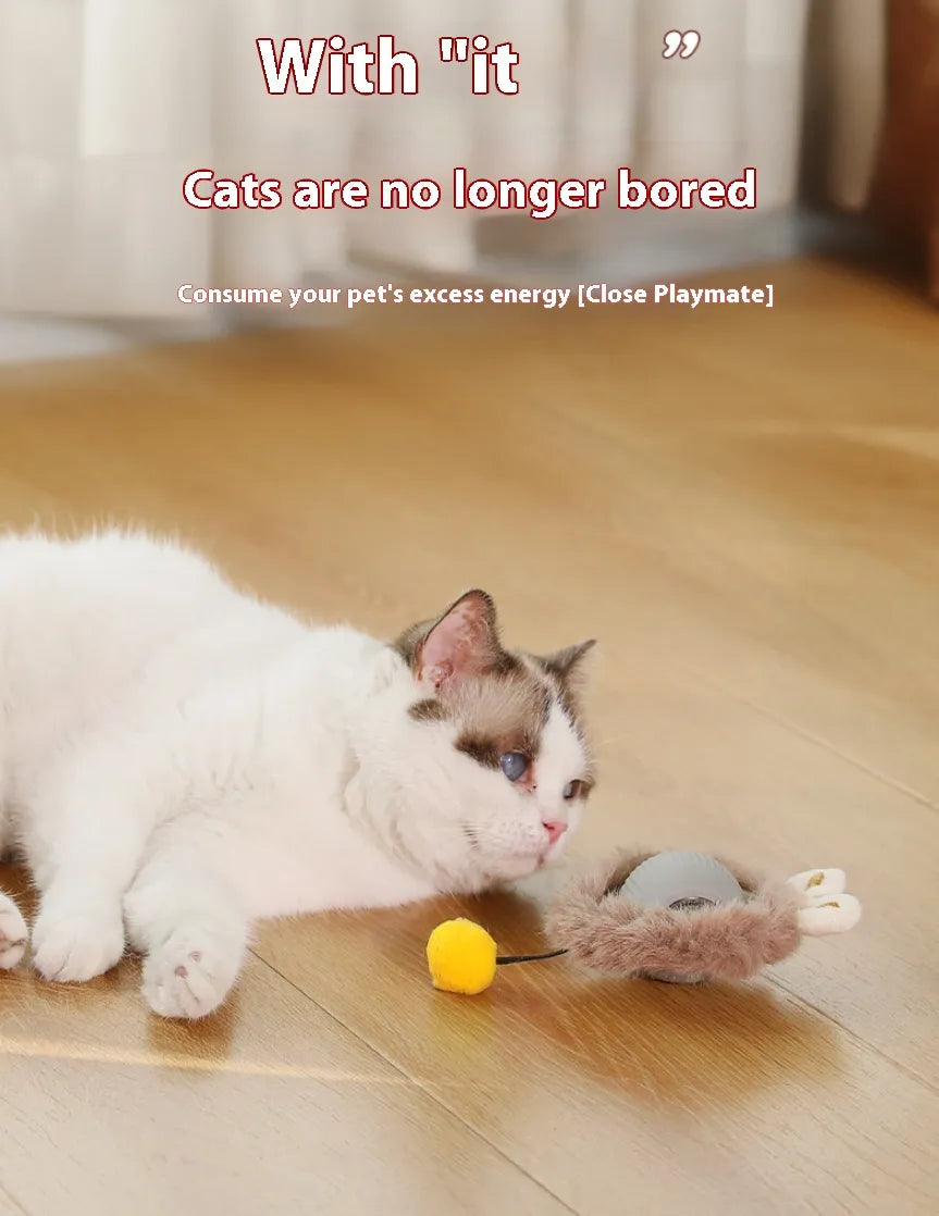 Interaktiver Plüsch-Katzen-Rollball