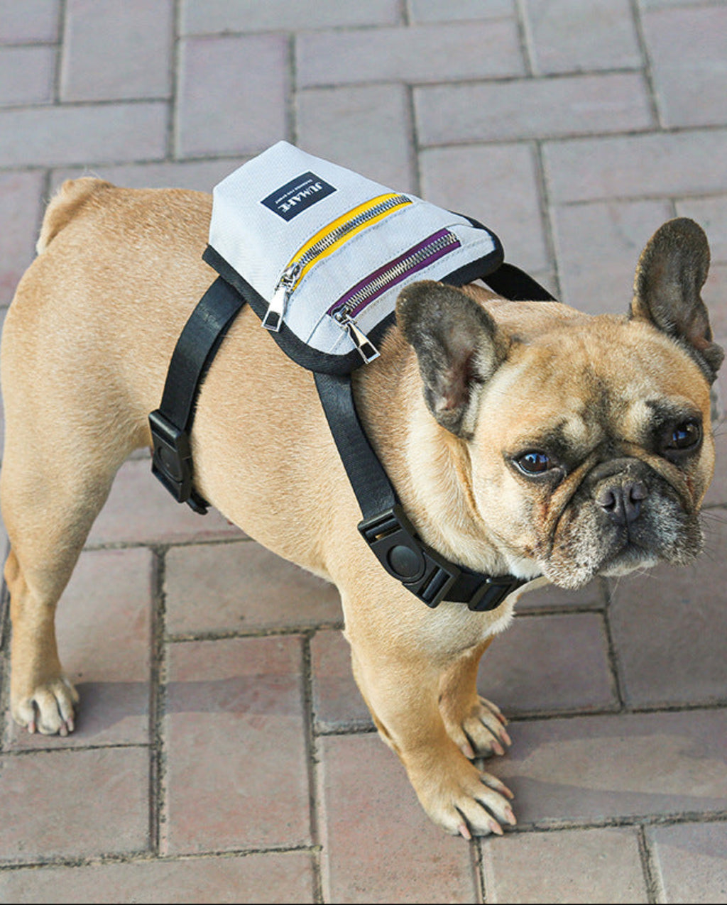 Hund Reiserucksack für Outdoor-Abenteuer
