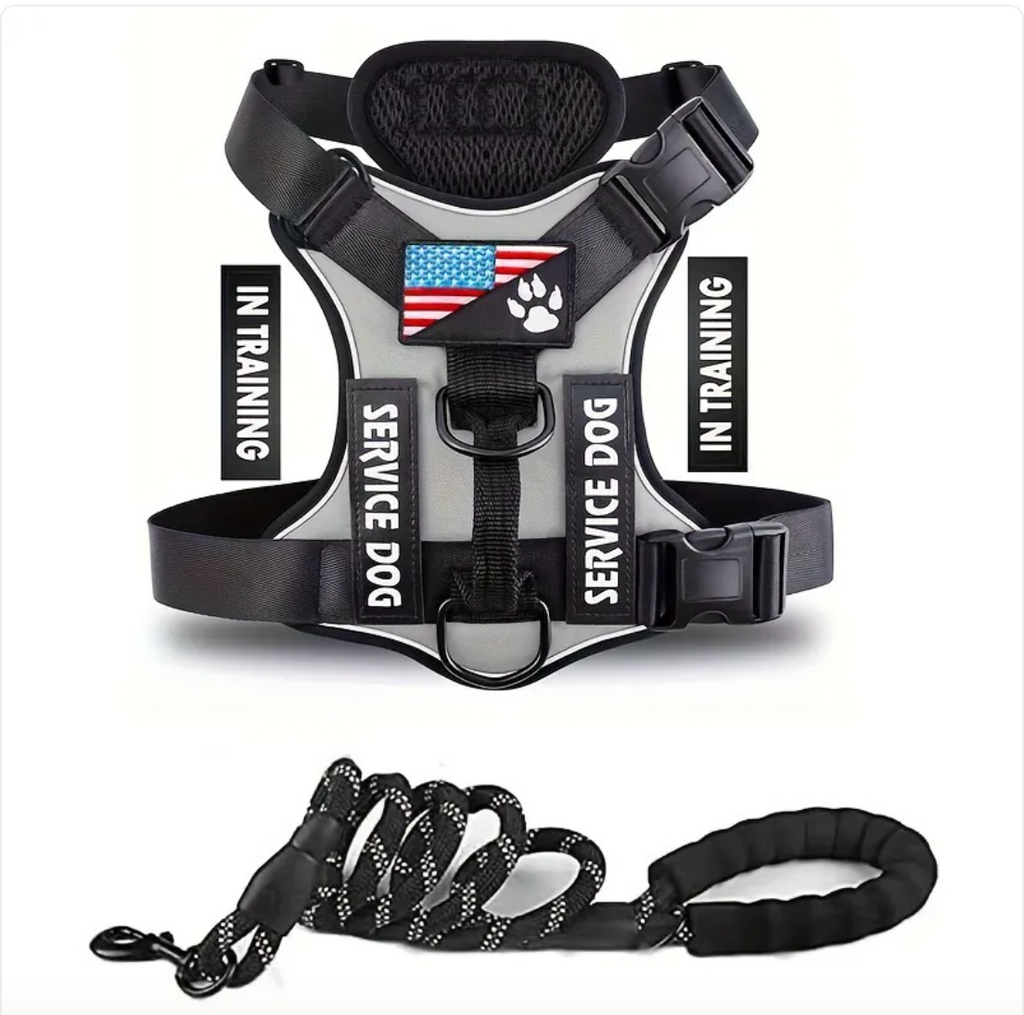 Verstellbares Hundegeschirr & Leinen Set