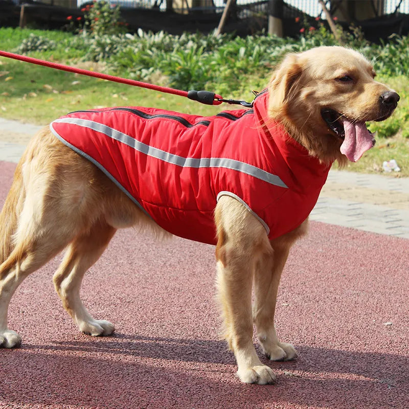Dickere winddichte Hundejacke