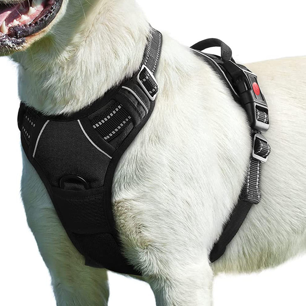 Pet Traction Rope with Chest Strap Harness