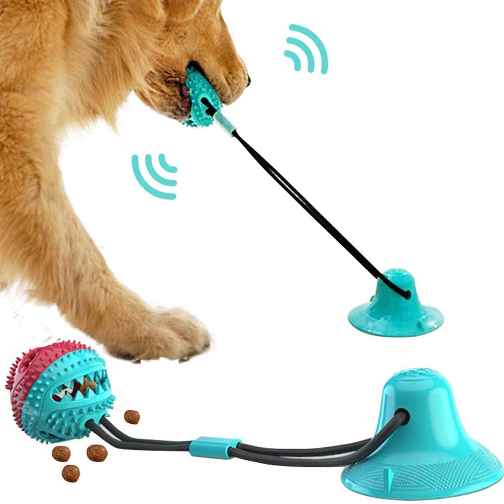 Kau- und Zieh-Hundeball