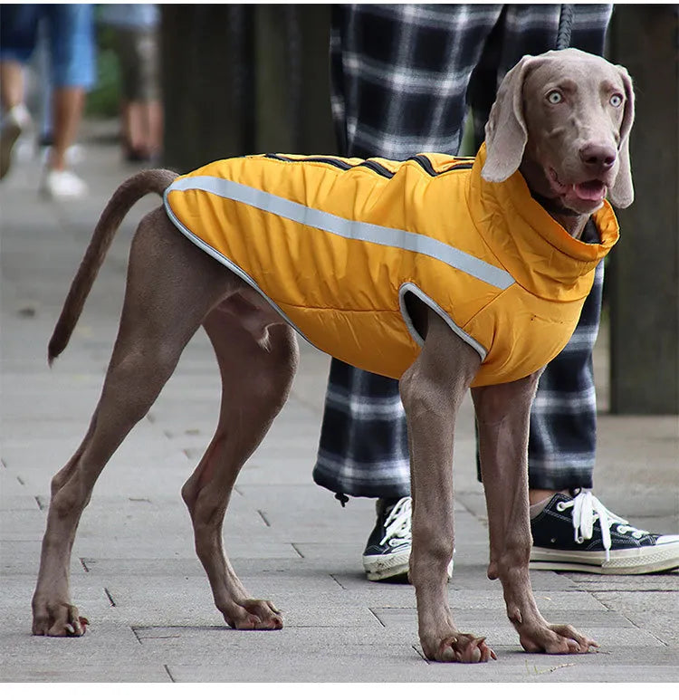Dickere winddichte Hundejacke