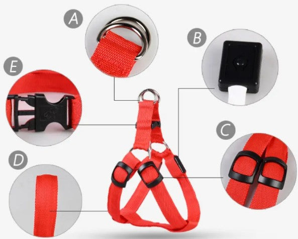 LED Leuchtender Hundegeschirrriemen