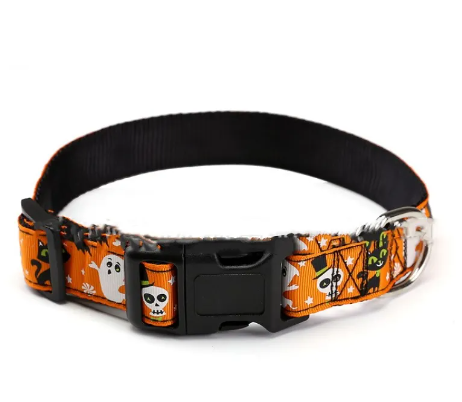 Halloween Haustierhalsband