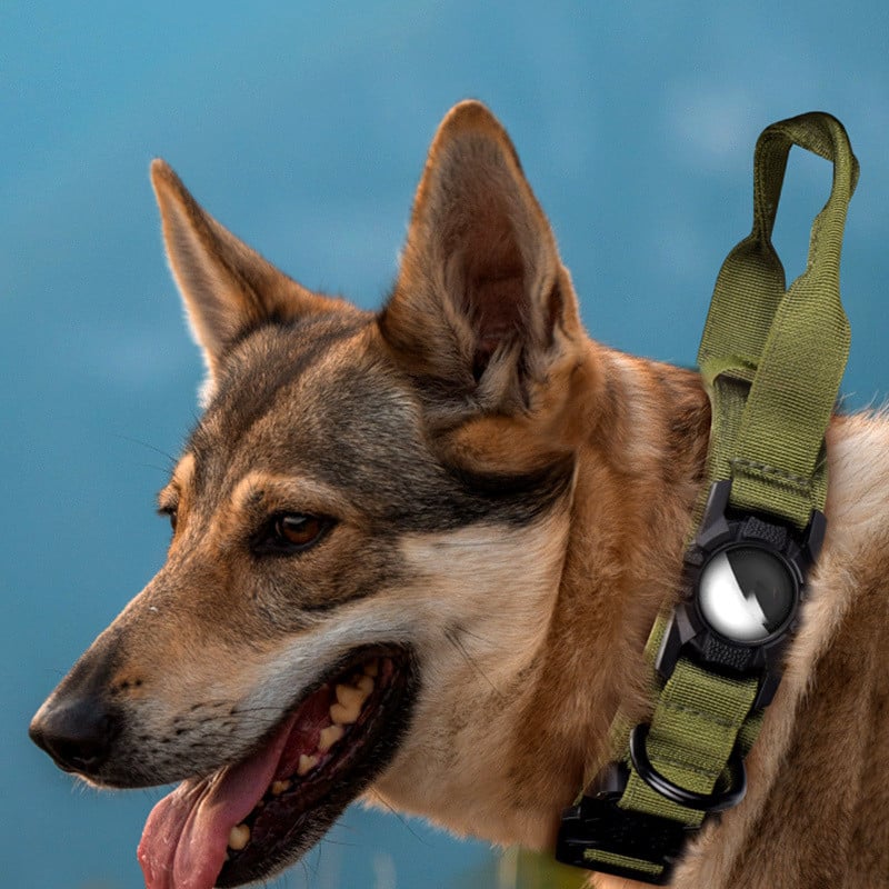 Schutzartikel für Hunde zur AirTag-Positionierung