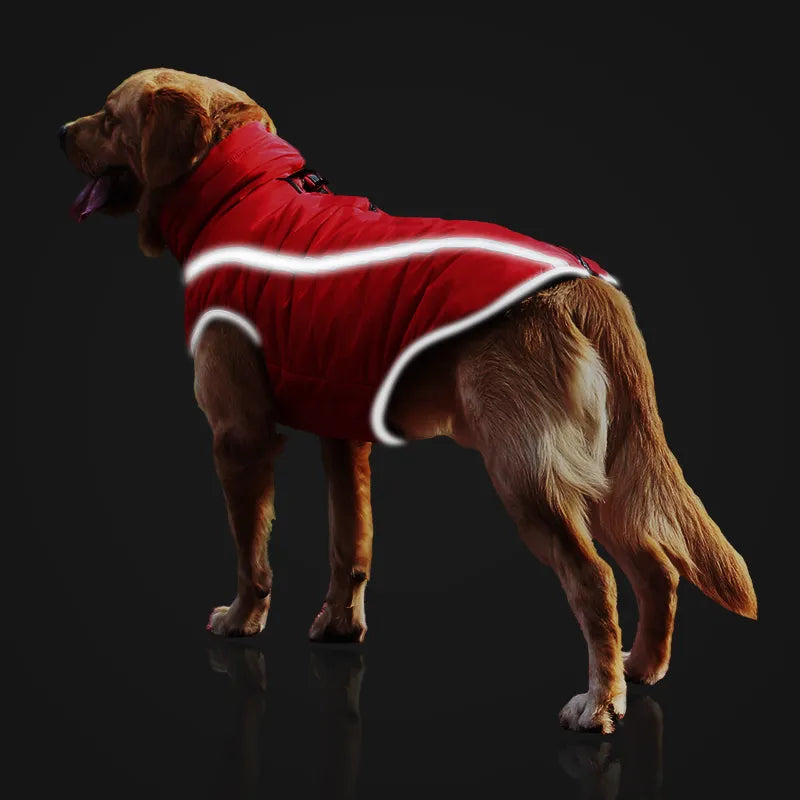 Dickere winddichte Hundejacke
