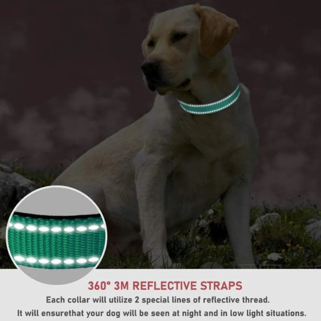 Verstellbares Brustgeschirr Hundehalsband