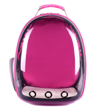 Transparenter Haustierrucksack
