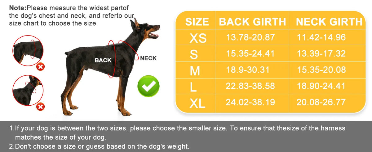 Verstellbares Hundegeschirr & Leinen Set