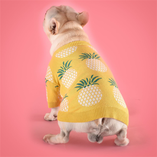 Süßer warmer Hundepullover