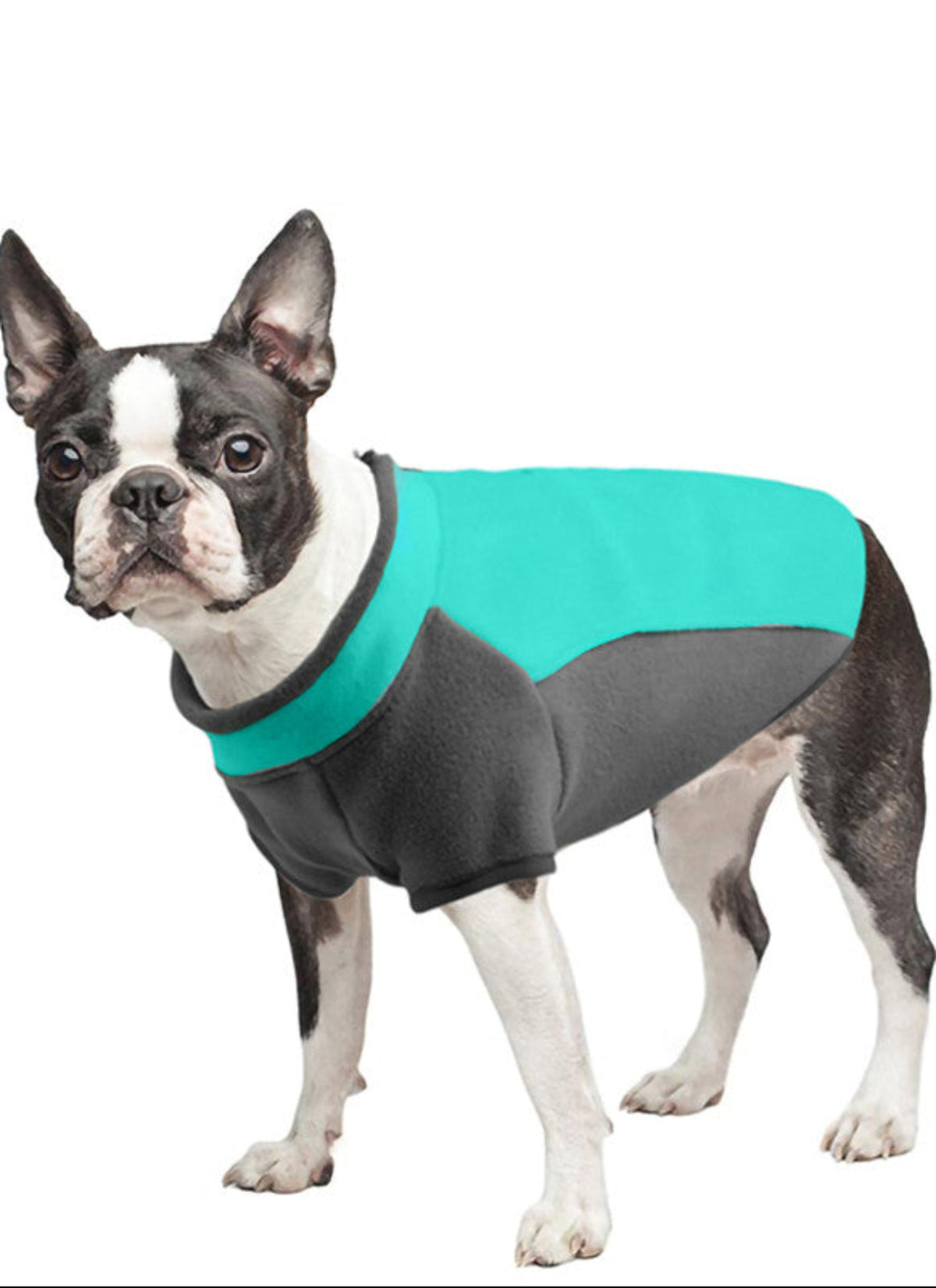 Big Dog Dicke Baumwollgefütterte Jacke