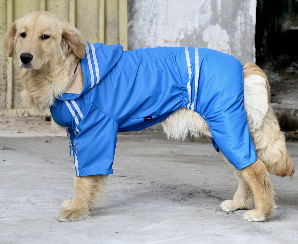 Regenjacke für große & mittlere Hunde