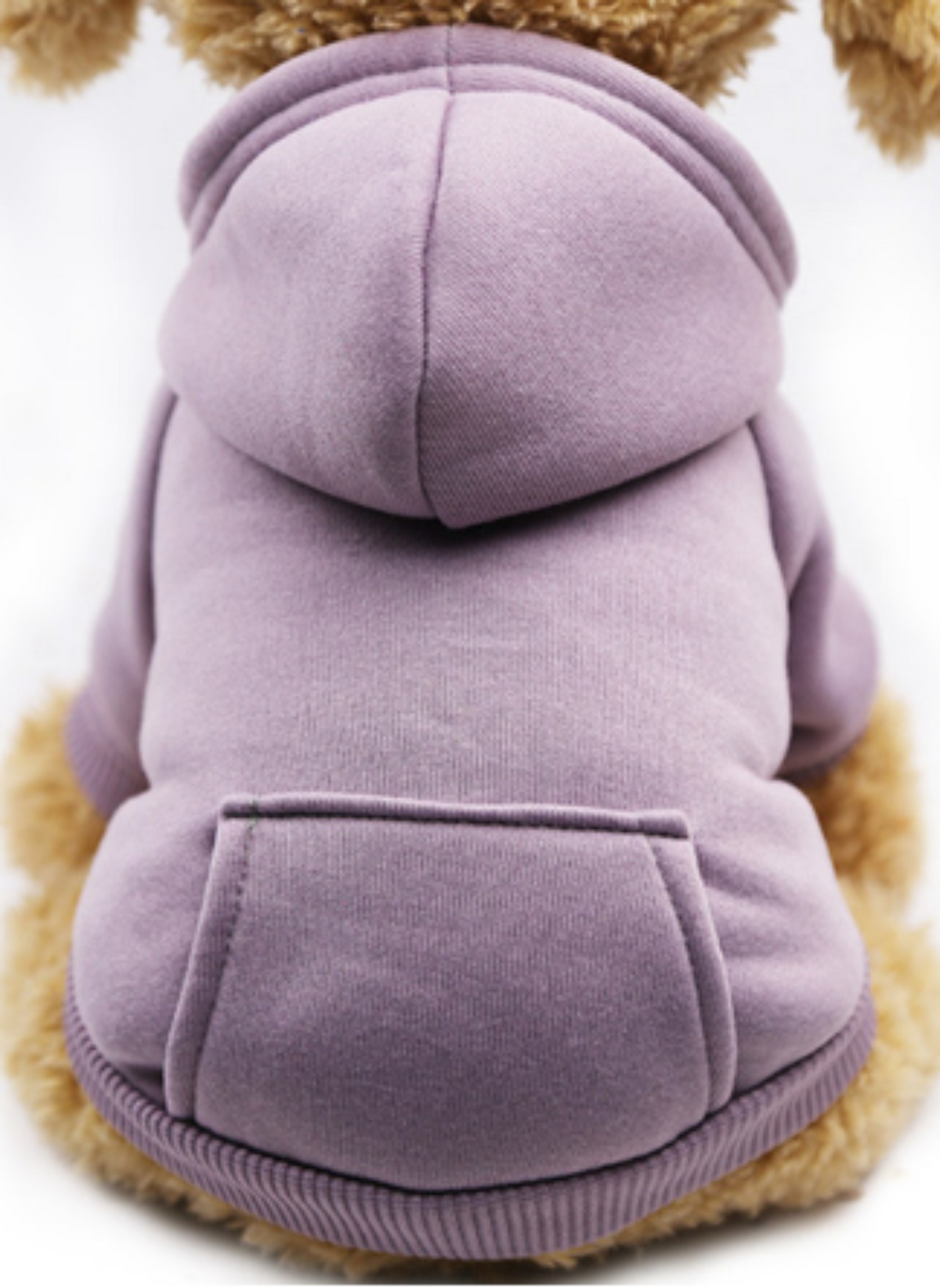Winter Dog Hoodie