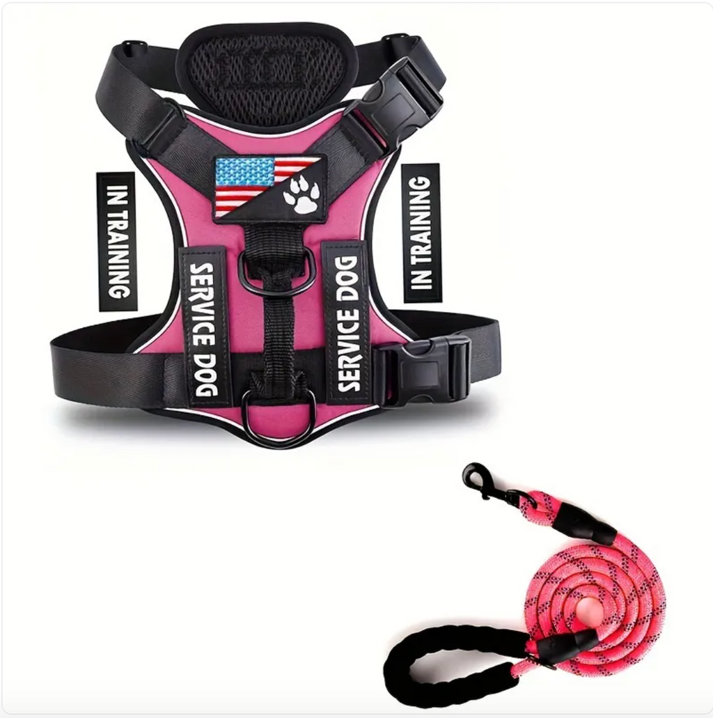 Verstellbares Hundegeschirr & Leinen Set