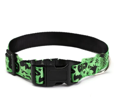 Halloween Haustierhalsband