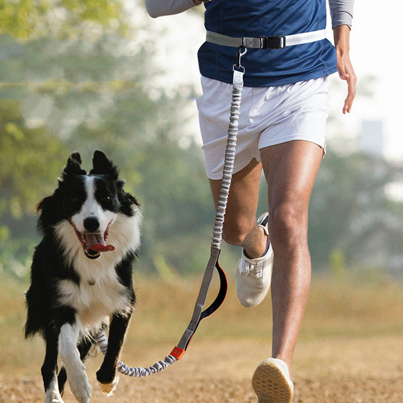 Outdoor Laufleine für Hunde